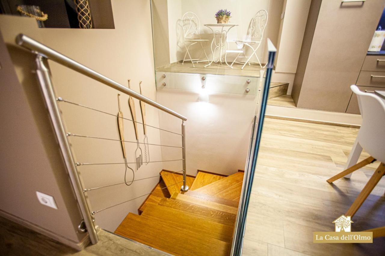 La Casa Dell'Olmo - Suite Apartment Cuneo Exteriér fotografie